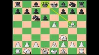 Universal Chess Opening against all d4  e5 Variations [upl. by Llenrup]