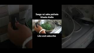 Saaga rai saha pakhala odia recipe support  jayalaxmis kitchen [upl. by Jodie]