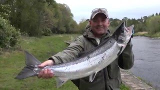 Drowes Salmon Fishery  Spring Salmon Fishing In Ireland [upl. by Gujral102]