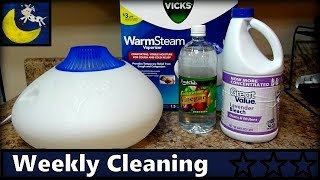 How to Clean Vicks Warm Steam Vaporizer  Disinfect amp Descale [upl. by Kellyann]