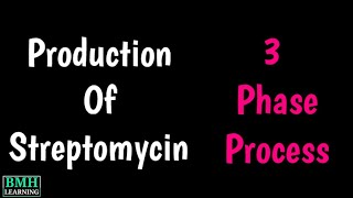 Streptomycin Production  Microbial Production Of Streptomycin  Streptomycin Industrial Production [upl. by Ocramed399]