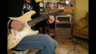 Hook Wizard Amp Meets Fender Stratocaster 1966 [upl. by Nelehyram]