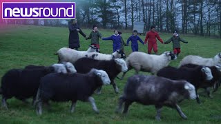 Meet the kids swapping the classroom for a farm  Newsround [upl. by Alegnaoj891]