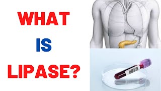 What is Lipase blood test Normal Levels [upl. by Bernj799]