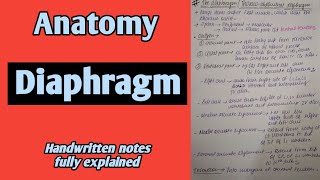 Diaphragm  Thoracoabdominal Diaphragm  Anatomy  By Namita Ussara [upl. by Trueman]