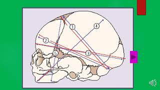 diameters of the foetal skull [upl. by Itsrik]