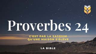 La Bible Proverbes 24 Louis Segond biblevision [upl. by Haron853]