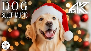 CALMING MUSIC FOR DOGS Relaxation Sleep Aid and Stress Relief  Soothing Dogs Music [upl. by Hansel]