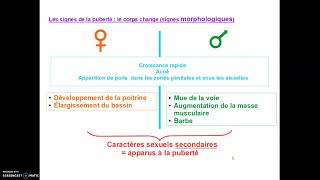 Les signes de la puberté [upl. by Arim]