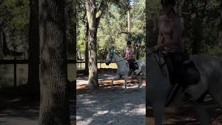 Cantering through the trees🤭fyp trees horseriding riding horses cantering [upl. by Moriah]