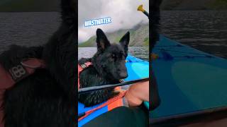 Paddle boarding  wastwater explore cumbria fyp paddleboarding fantasy lakedistrict subscribe [upl. by Raman]