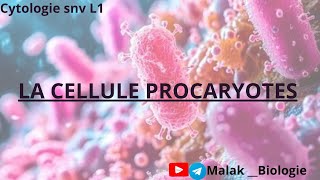 Chapitre n°1 La cellule procaryote partie 1 [upl. by Ayvid77]