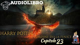 Audiolibro  Harry Potter e lordine della fenice  Lettura e Commento Cap 23 [upl. by Gorrian747]