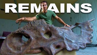 The Great Fossil Race Uncovering Prehistoric Dinosaur Bones  Dino Hunt  Real Wild [upl. by Arahset]