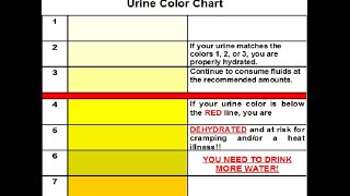 Hydration is a priority for athletes and non athletes [upl. by Heger]