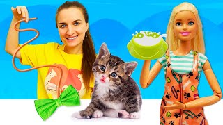 Barbie trouve un petit chaton 🐈 Jeux pour fille avec poupées et animaux [upl. by Anuaf]