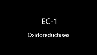 Oxidoreductases  Biochemistry for Beginners  HVMANITAS [upl. by Akemrehs]