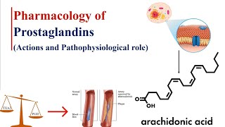 Prostaglandins Actions and Pathophysiological roles on CVS uterus Bronchi GIT Kidney CNS Eye [upl. by Maharva]