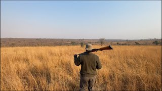 Walking Safari im Krüger Nationalpark  South Africa Travel Vlog [upl. by Lilas]