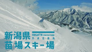 【ビックリゾート】新潟県 苗場スキー場  新雪と地形を満喫 湯沢のスキーリゾート [upl. by Mcconnell]