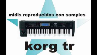 terrenal julion alvarez midi korg con sampleswmv [upl. by Bill563]