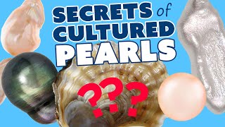 All About Cultured Pearls  Deep Dive with Pearl Expert [upl. by Ednyl]