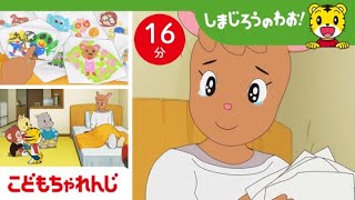 【16分アニメ】せんせいが ケガ しちゃった！ みんなでお見舞い  思いやり  しまじろうのわお！アニメ  しまじろうチャンネル公式 [upl. by Sarah]