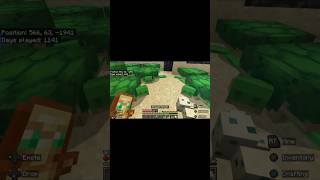 How to find breed and hatch turtles Minecraft 121 [upl. by Ahsitnauq]