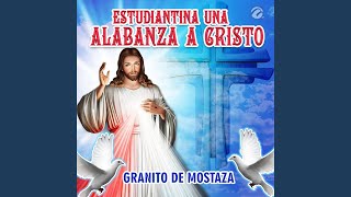 Granito de Mostaza [upl. by Llered]