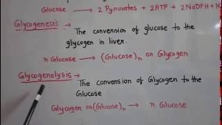 Metabolism of carbohydrate part 1 [upl. by Smaj488]