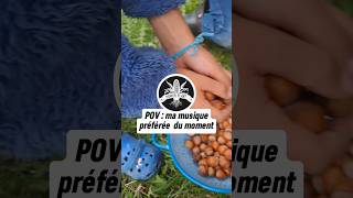 Que font ces petits écureuils  🐿🥜🌲 [upl. by Celinka645]