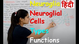 Neuroglia in Hindi  Types  Functions  Structure  neuroglial cells  Rajneet Medical Education [upl. by Erdne]