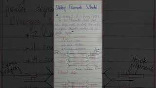 sliding filament model  biology ch16lecture19 sliding filament model fsc 2nd year [upl. by Anairt]