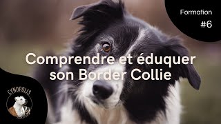 Comprendre et éduquer un Border Collie  formation en ligne sur cynopolisfr [upl. by Grimbal]