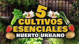 5 Cultivos ESENCIALES y RÁPIDOS 🍅 Empezar un Huerto Urbano en Casa  Hortalizas Fáciles y Rápidas [upl. by Giesecke654]