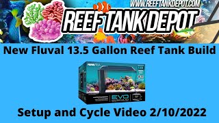 New Fluval 135 Gallon Evo Reef Tank Setup and Cycle [upl. by Celtic]