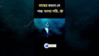 মৎস্য পরীটিকে লোকটি মেরে ফেলে🧚 movie explained in bangla  movie review bangla movie shorts [upl. by Ycal]