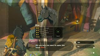 Zelda  Tears Of The Kingdom  Part Five I found horse house [upl. by Ellesij]