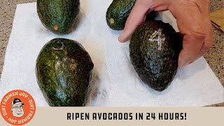 Ripen Avocados in 24 Hours [upl. by Aierb336]