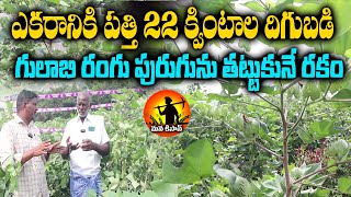 ఎకరానికి పత్తి 22 క్వింటాలు దిగుబడి  Prabhath Seeds 205 Cotton  Cotton Farming  Mana Kisan [upl. by Aniraz]