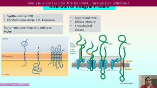 Topology of Integral Membrane Protein  Insertion in ER  CSIR Life Science  GATE doorsteptutor [upl. by Iover280]