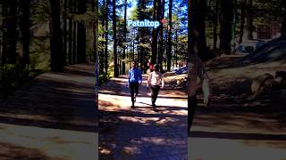 Patnitop A beautiful Picnic Spots punjabi punjabisong punjabiculture patnitophills indianpunjab [upl. by Latona]