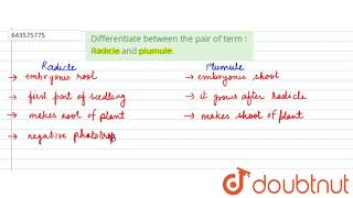 Differentiate between the pair of term Radicle and plumule  6  THE FLOWER  BIOLOGY  ICSE [upl. by Arabelle]