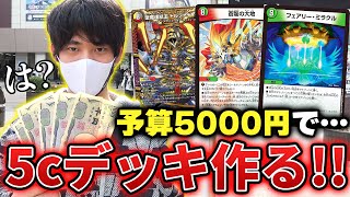 【検証】デュエマ最強の5色コンデッキは『製作費5000円で組めるのか』秋葉原で挑戦してみた‼【デュエマ開封実写動画】 [upl. by Quinlan842]