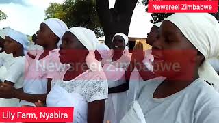 Happy women singing at Madzibaba Ishmael Lily farm in Nyabira foryou viral trending [upl. by Nicolas134]