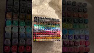 Organizing 168 mobee twin markers shorts asmrsounds [upl. by Llerrit164]