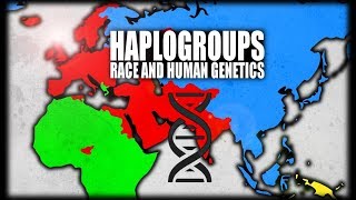 What are Haplogroups Human Genetics Explained [upl. by Yuji738]