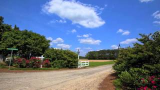 NC Farms and Plantations For Sale [upl. by Odraude]