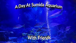 A Day At Sumida Aquarium With Friends [upl. by Nihs]