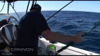 BLA  Cannon Downriggers  Live Baiting for Marlin in Port Stephens New South Wales [upl. by Hardan]